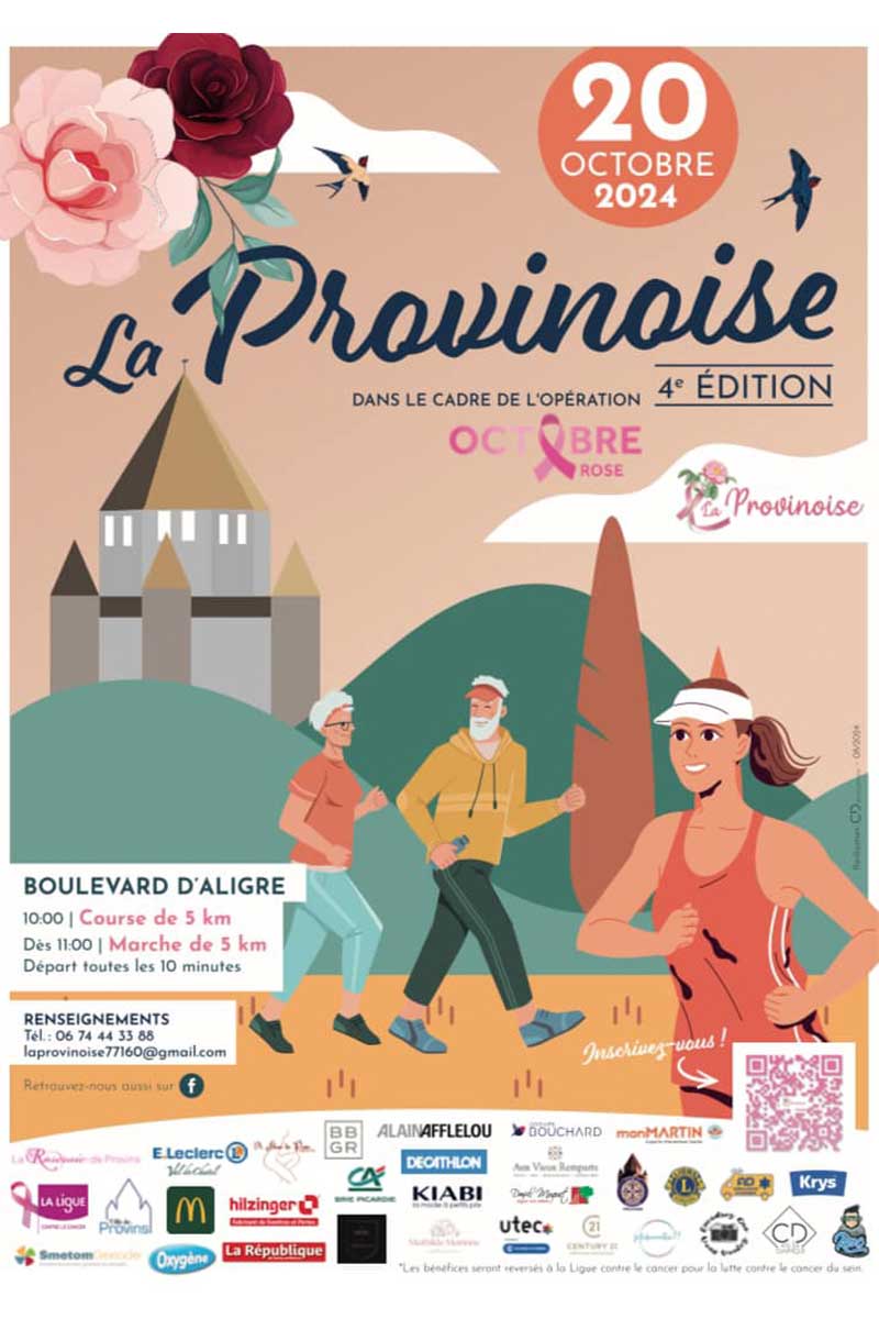 affiche la provinoise